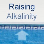 How to raise your swimming pool alkalinity